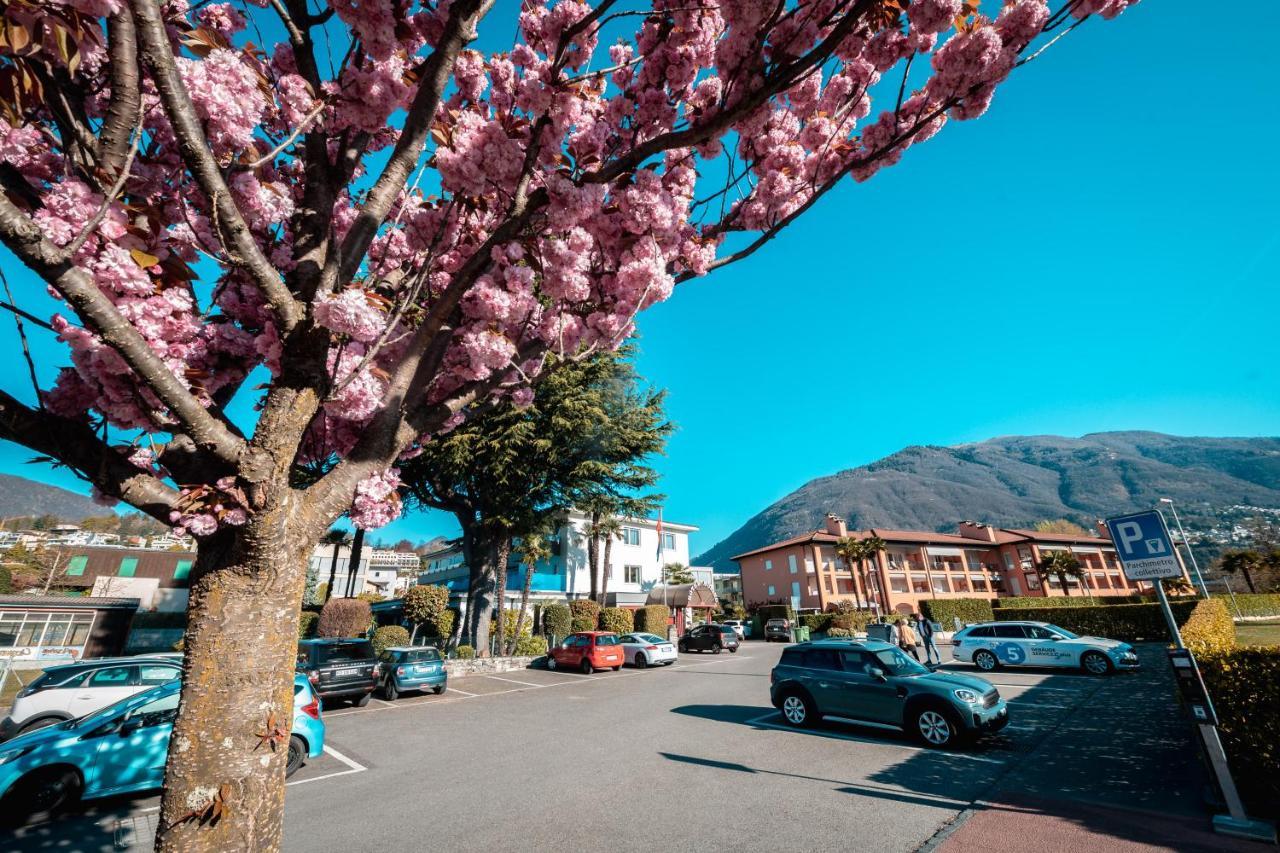 Ascona Lodge, Pool & Garden Retreat Bagian luar foto