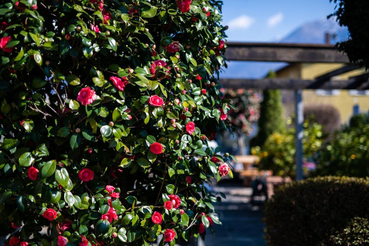 Ascona Lodge, Pool & Garden Retreat Bagian luar foto